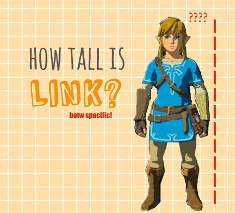 zelda height botw|link height totk.